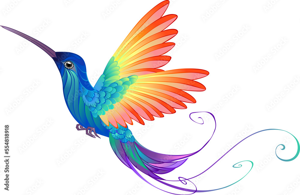 Fototapeta premium Bright Rainbow Hummingbird