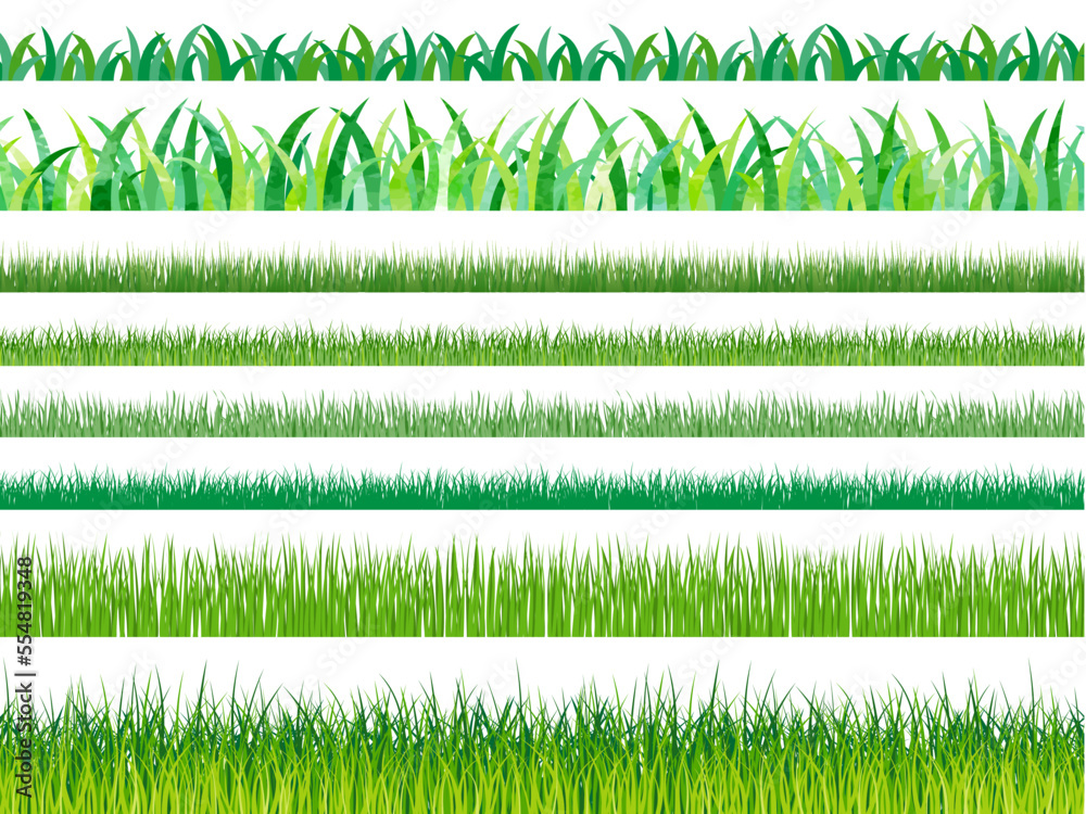 herbe verte vectoriel