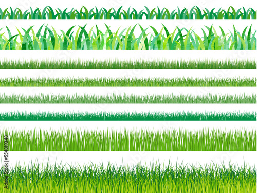 herbe verte vectoriel