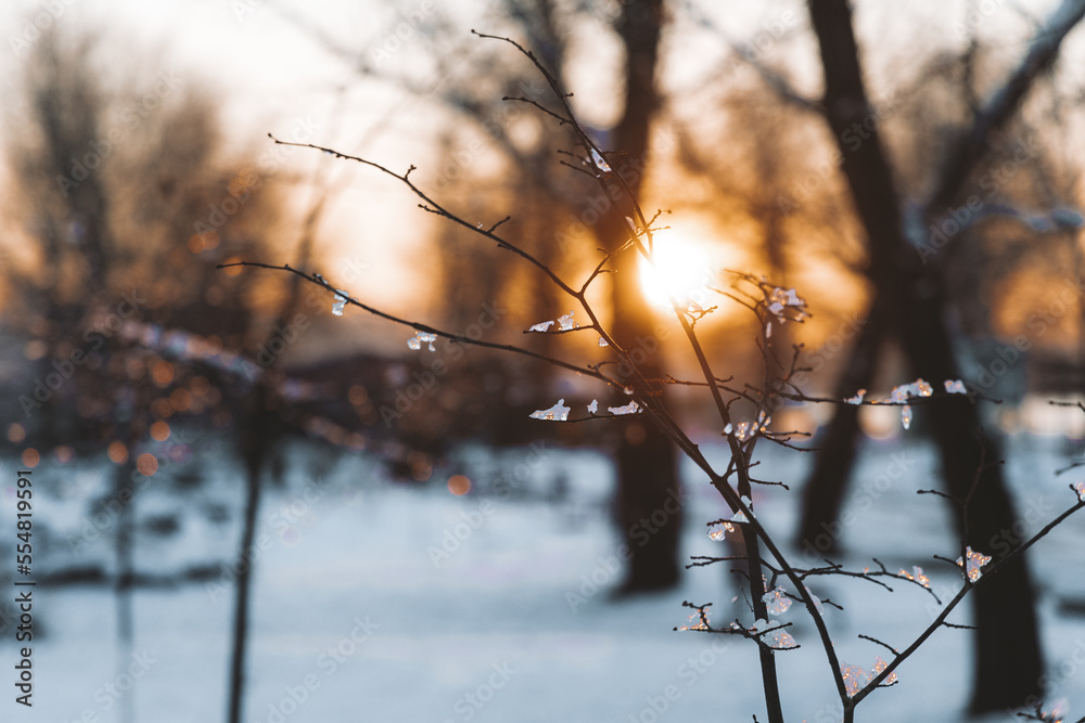 Obraz premium Beautiful winter view of the city of Dnipro during sunset or sunrise. Winter landscape. Ukrainian city. The lights of a sun. Calm nature copies the space background.