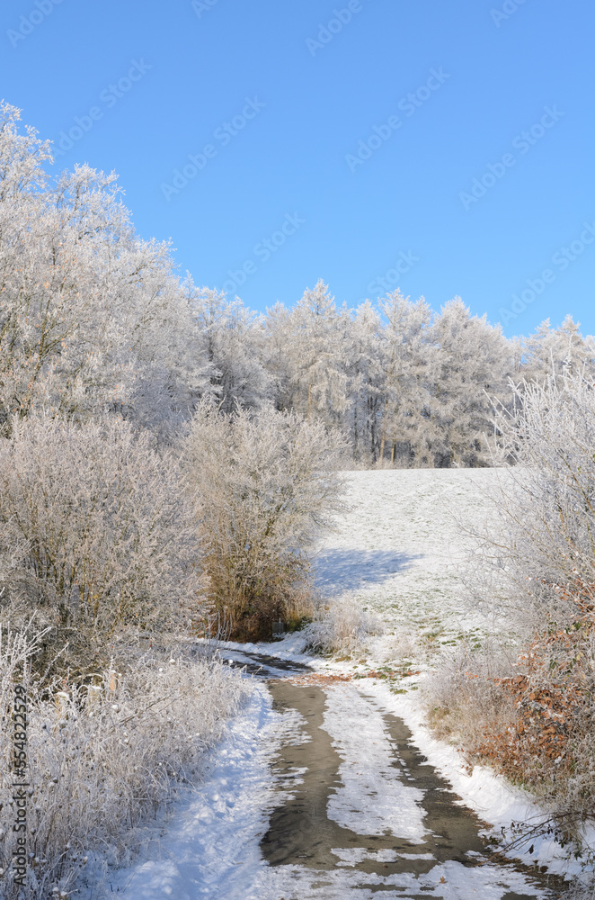 Idyllic landscape scene with hiking path and frozen snow covered trees in a forest in the rural countryside in Germany, Europe Idyllic landscape scene with hiking path and frozen snow covered trees in a forest in the rural countryside in Germany, Europe