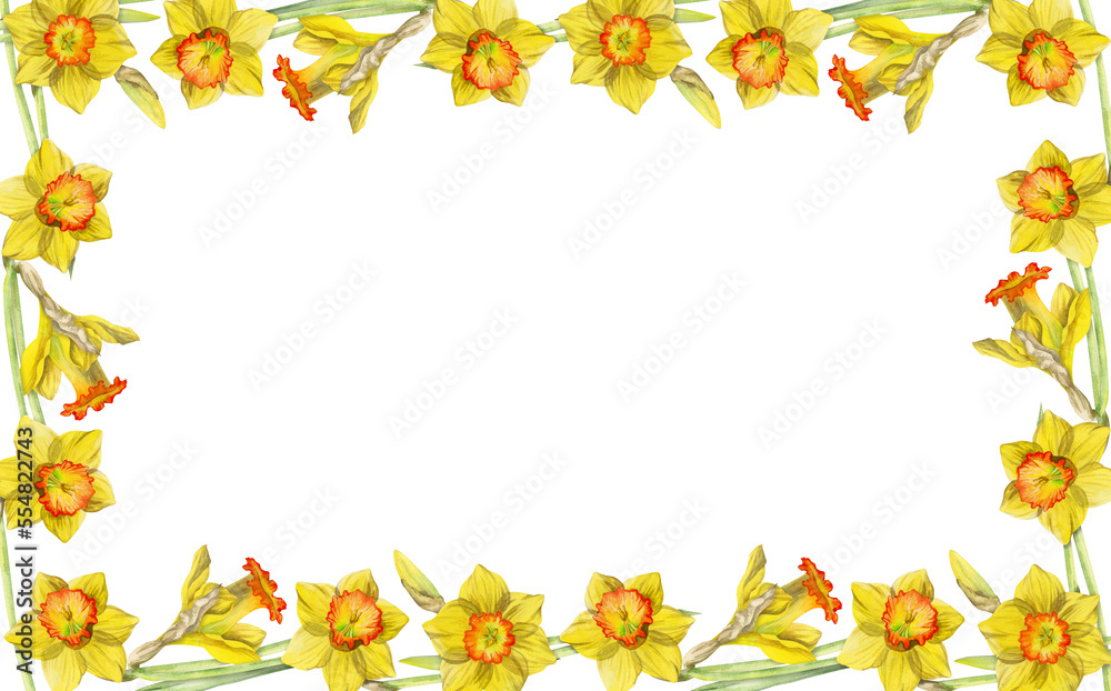 Watercolor hand drawn square frame with spring flowers, daffodils, snowdrops, branches, leaves. Isolated on white background. Design for invitations, wedding, greeting cards, wallpaper, print, textile Watercolor hand drawn square frame with spring flowers, daffodils, snowdrops, branches, leaves. Isolated on white background. Design for invitations, wedding, greeting cards, wallpaper, print, textile