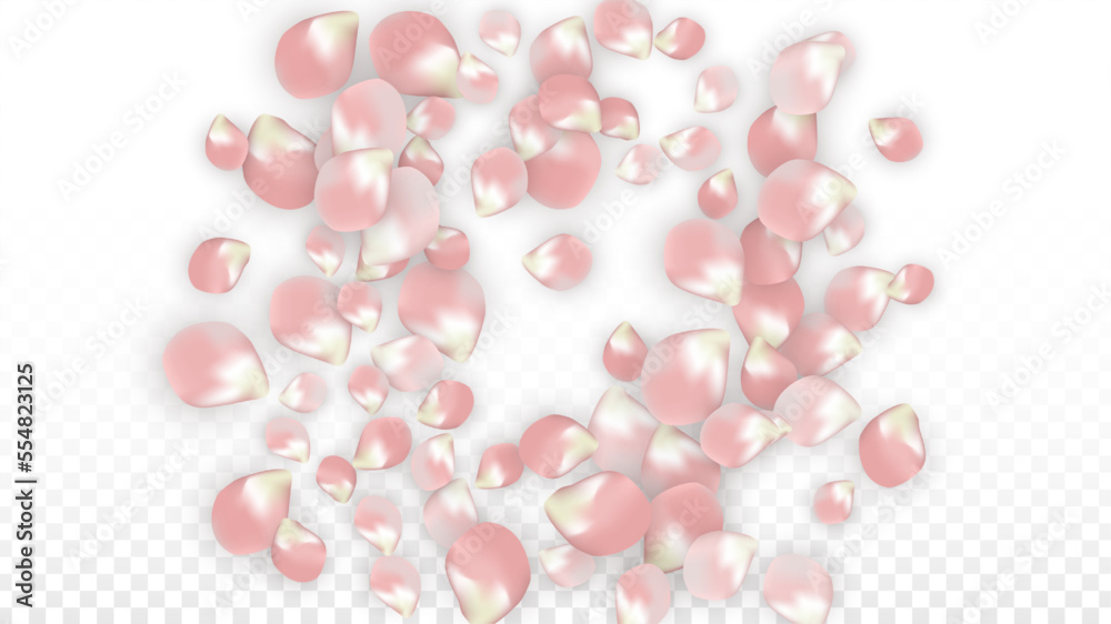Pink Vector Realistic Petals Falling on Transparent Background. Spring Romantic Flowers Illustration. Flying Petals. Sakura Spa Design. Blossom Confetti. Design Elements for Wedding Decoration. Pink Vector Realistic Petals Falling on Transparent Background. Spring Romantic Flowers Illustration. Flying Petals. Sakura Spa Design. Blossom Confetti. Design Elements for Wedding Decoration.