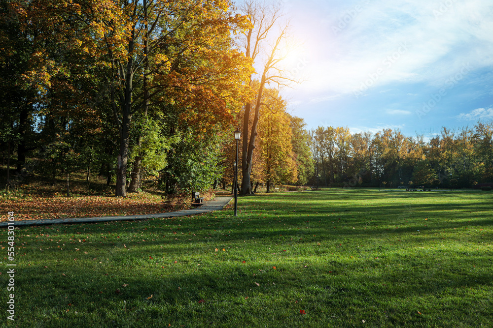 Naklejka premium Picturesque view of park with beautiful trees and green grass on sunny day. Autumn season