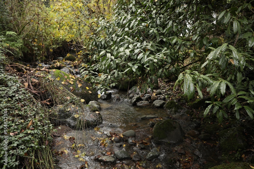 Beautiful view of mountain stream, rocks and green plants outdoors Beautiful view of mountain stream, rocks and green plants outdoors