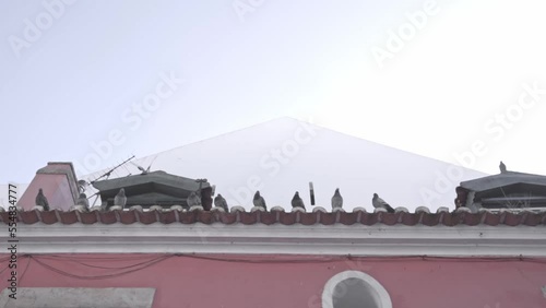 One pidgeon is landing next to others on top of a tile roof photo