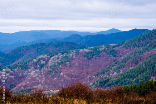 Amazing view of Magnificent autumn carpet in The Rhodope mountains