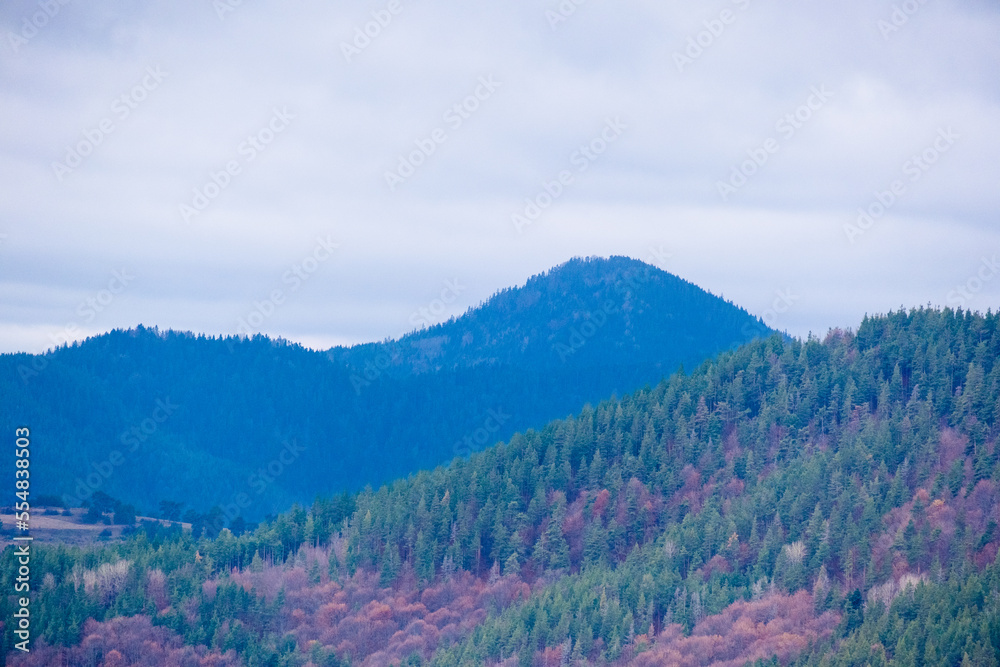 Amazing view of Magnificent autumn carpet in The Rhodope mountains