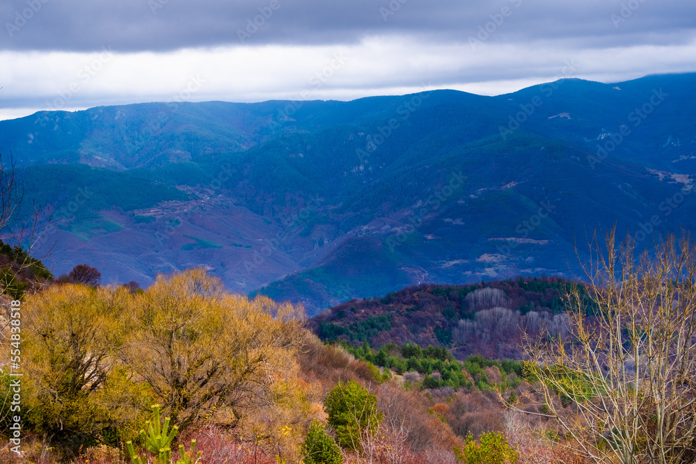Amazing view of Magnificent autumn carpet in The Rhodope mountains Amazing view of Magnificent autumn carpet in The Rhodope mountains