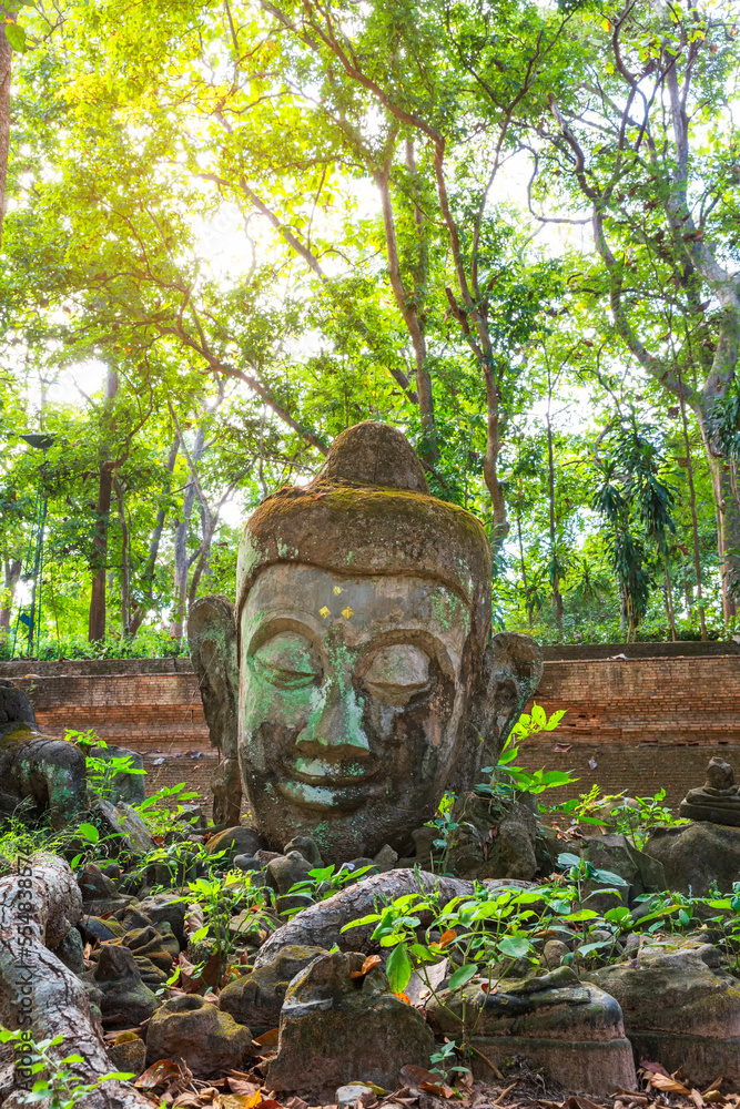 Many of old buddha statues wreckage with green forest nature in Wat Umong at Chiang Mai of Thailand