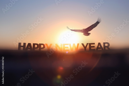 The red sun rising brightly in the New Year, the sunrise background, the eagle flying majesticly in the sky, and the lettering HAPPY NEW YEAR
 photo