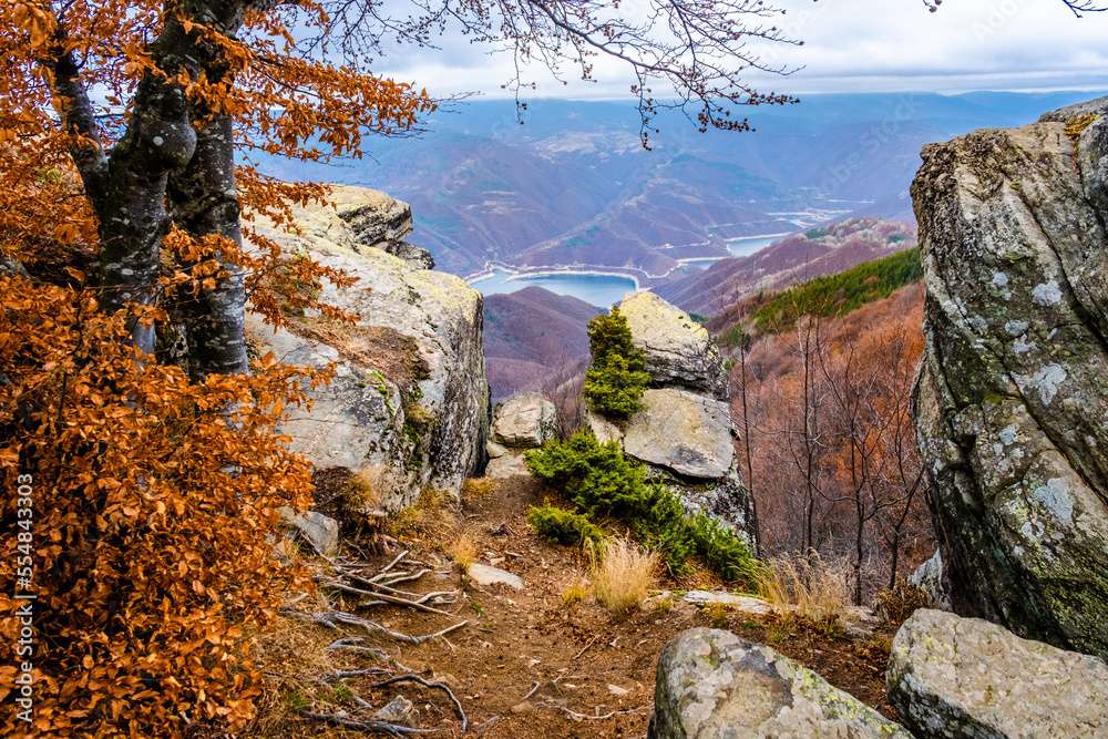 Amazing view of Magnificent autumn carpet in The Rhodope mountains