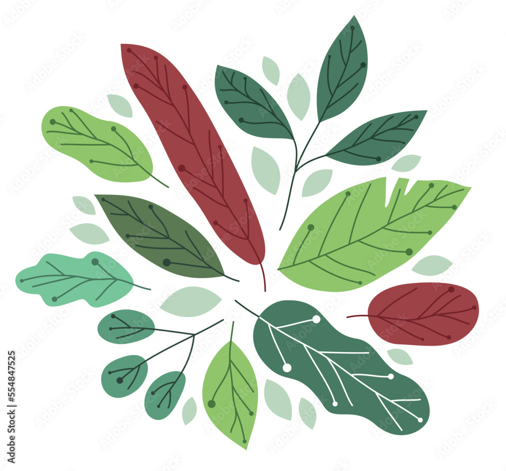 Beautiful fresh green leaves flat style vector illustration isolated on white, floral composition drawing, botanical design.