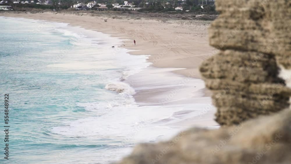 Person walking his dog on an empty beach in Cadiz. Person walking his dog on an empty beach in Cadiz.