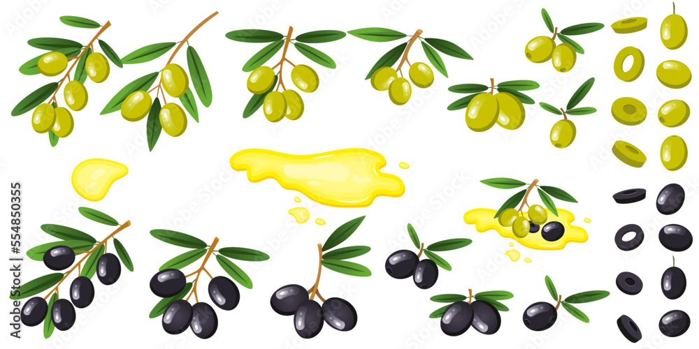 Vector set with green and black olives. Twigs with olives with leaves ...