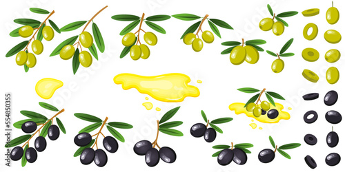 Vector set with green and black olives. Twigs with olives with leaves, individual berries. The concept of vegetables and healthy eating.