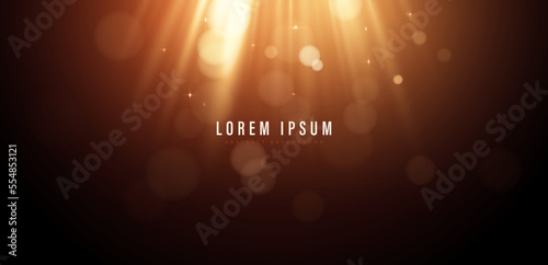 Abstract gold light rays effect on dark background with sparkle. Bokeh lights. Sunlight. Glowing light. Space for your text. Suit for poster, banner, cover, website, flyer. Vector illustration
