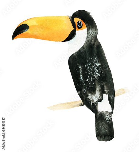 Toucan on a branch, painted in watercolor.