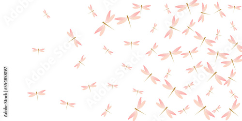 Tropical rosy pink dragonfly flat vector wallpaper. Spring vivid insects. Wild dragonfly flat baby illustration. Delicate wings damselflies patten. Tropical beings