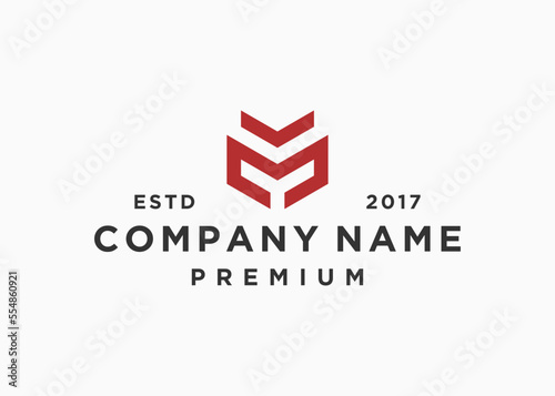 letter mv logo design vector illustration template