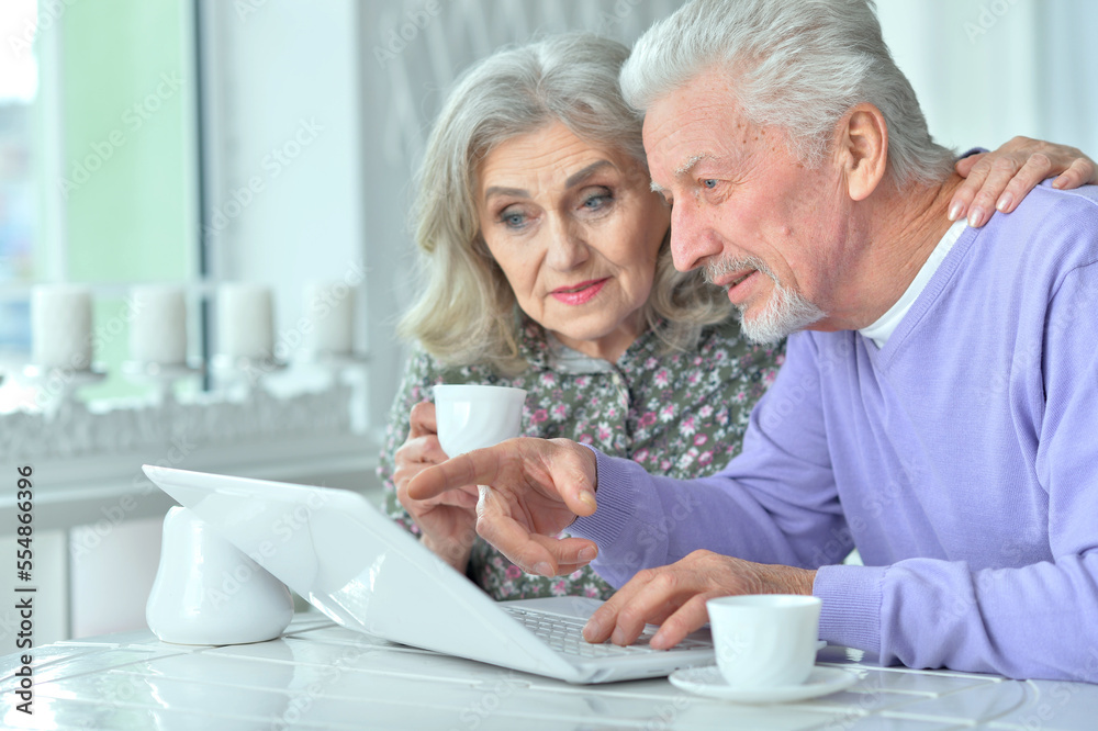 Focused senior couple using laptop Focused senior couple using laptop