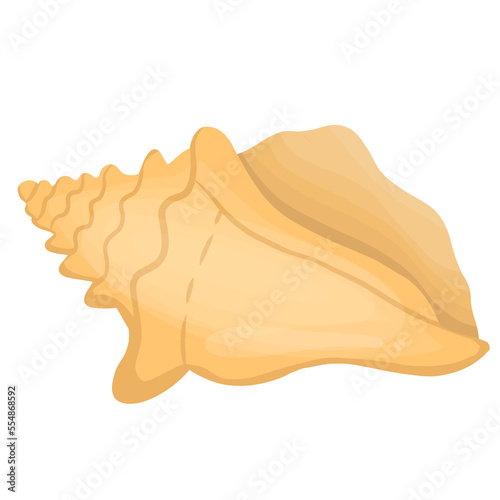 Colorful tropical shells underwater illustration