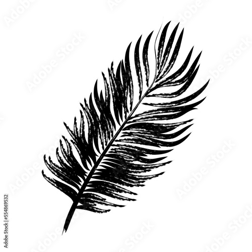 Hand drawn simple silhouettes of palm leaf. Botanical element for your design, logo, cards. Hand drawn grunge plant element painted with a brush. Vector illustration