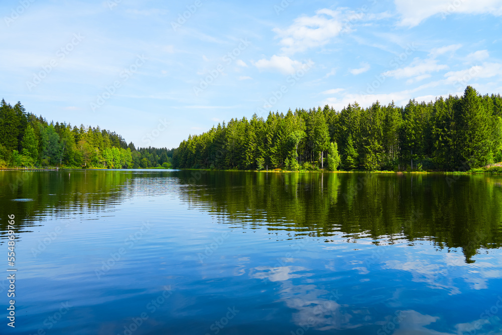 Fototapeta premium Kuttelbacher Teich with the surrounding nature near Goslar, in the district of Hahnenklee-Bockswiese. Landscape in the Harz mountains with a bathing pond. 