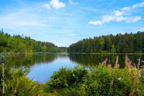 Kuttelbacher Teich with the surrounding nature near Goslar, in the district of Hahnenklee-Bockswiese. Landscape in the Harz mountains with a bathing pond.
 photo