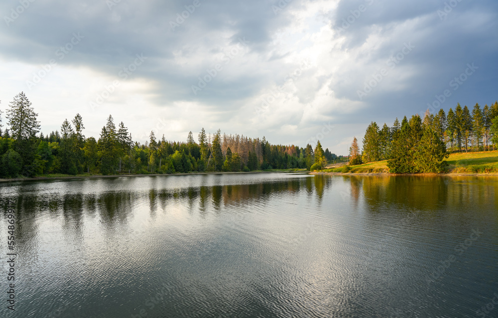 Fototapeta premium Landscape at the Hasenbacher Teich. Nature in the Harz near Clausthal-Zellerfeld. Idyllic landscape by the lake in autumn. 