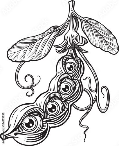Eyed Peas Tattoo Stencil in Linocut Engraving Style