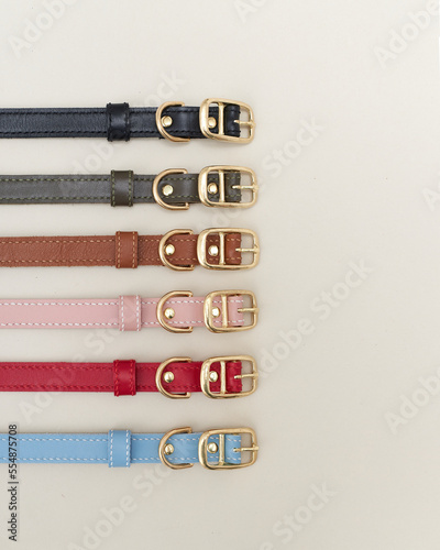 Collage isolated set of leather straps belts accessories collars leashes with rivets for dog pet photo
