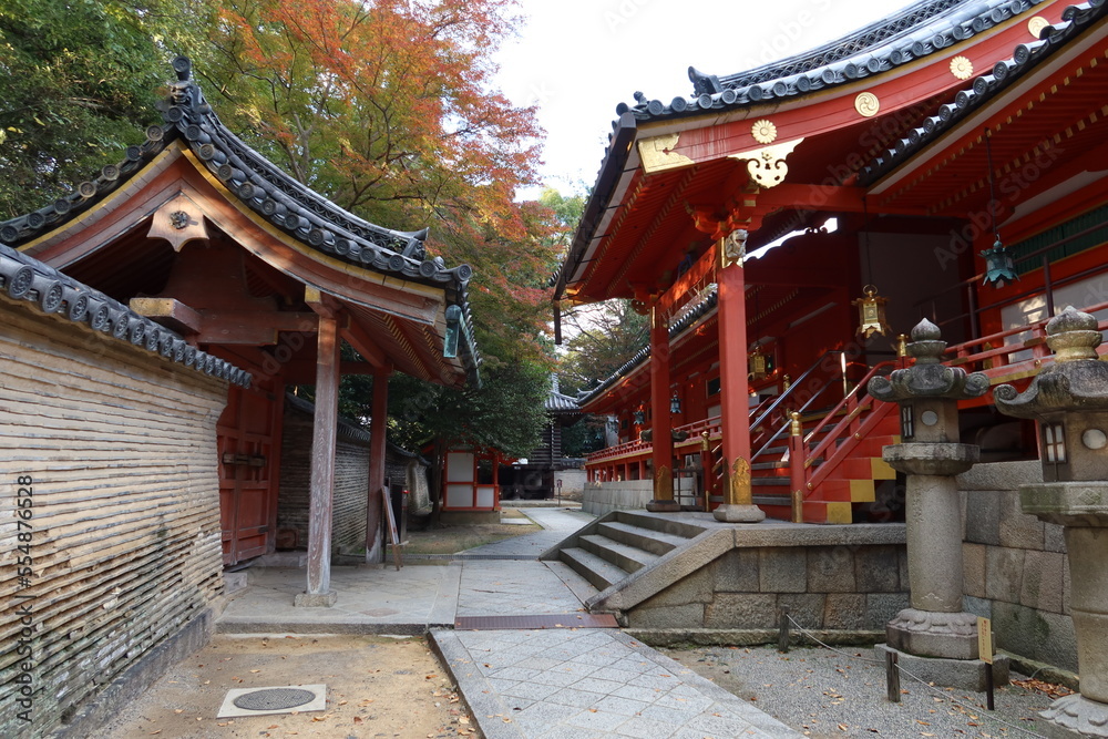 A Japanese shrine in Kyoto : the scene of an entrance to Go-hon-sha Main Hall in the precincts of Iwashimizu-hachimangu Shrine 京都にある日本の神社:岩清水八幡境内にある御本社入り口の風景 A Japanese shrine in Kyoto : the scene of an entrance to Go-hon-sha Main Hall in the precincts of Iwashimizu-hachimangu Shrine 京都にある日本の神社:岩清水八幡境内にある御本社入り口の風景