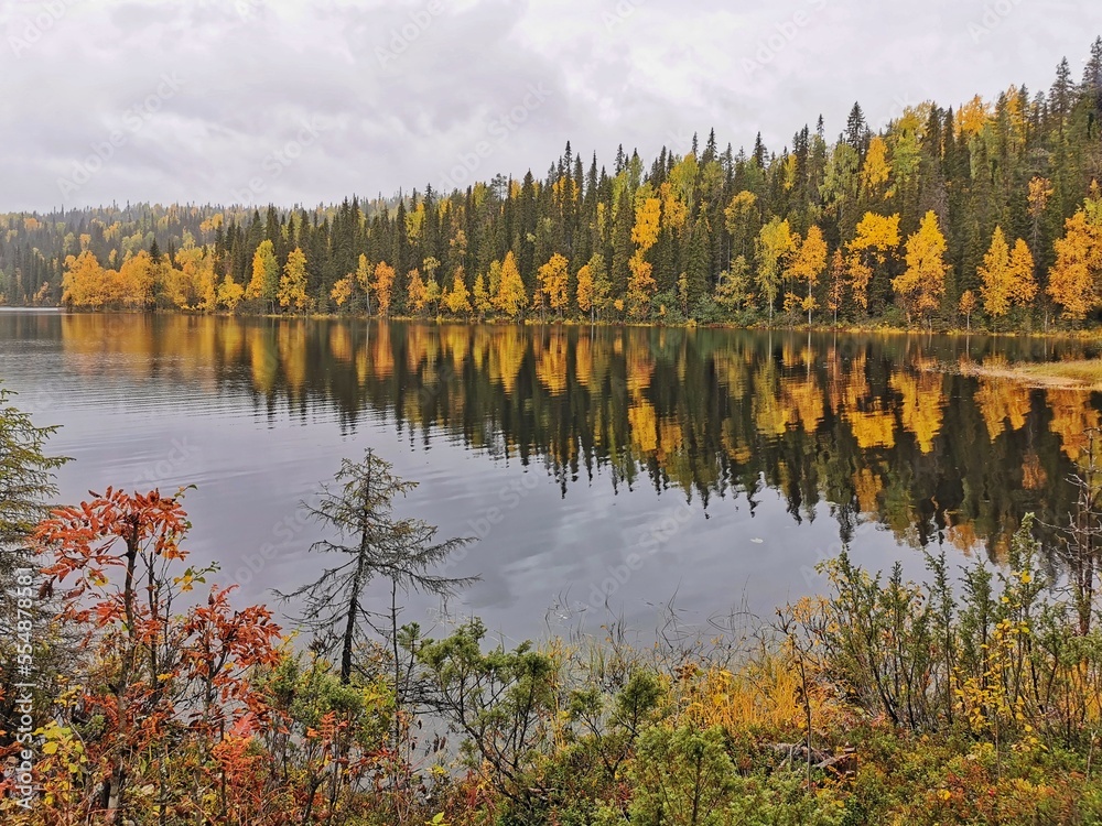 Fototapeta premium Colorful yellow and green trees on the lake shore in cloudy day. Beautiful autumn tranquil landscape. Paanajarvi National Park, Karelia.