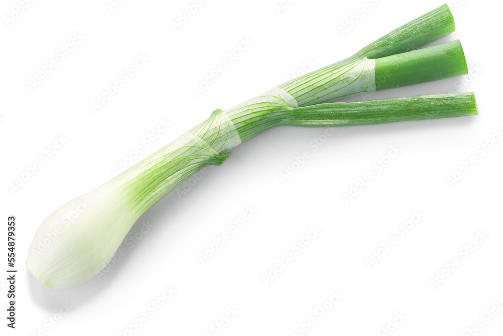 Leek or green spring onion stem with bulb isolated png, top view Leek or green spring onion stem with bulb isolated png, top view