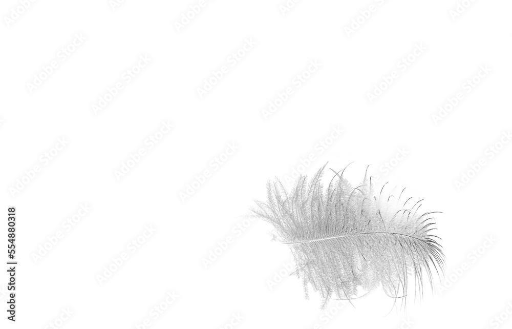 
It seems crazy, but it is true; a white down feather on an even whiter, snow-white background appears grayer and has a contrast with the background. It's so delicate and fragile 