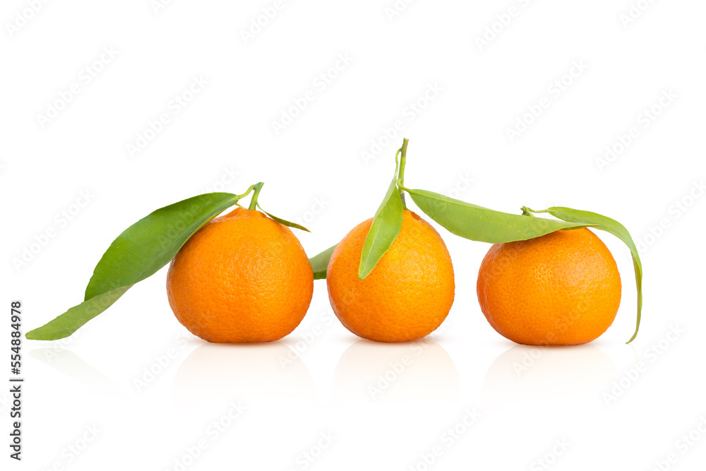 oranges on a white background. isolate. High quality photo oranges on a white background. isolate. High quality photo