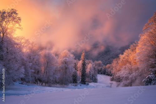 Snowy forest in hoar and pink low clouds in beautiful winter at sunset. Colorful landscape with trees in snow, orange sky. Snowfall in mountain woods. Wintry woodland. Snow covered forest at dusk