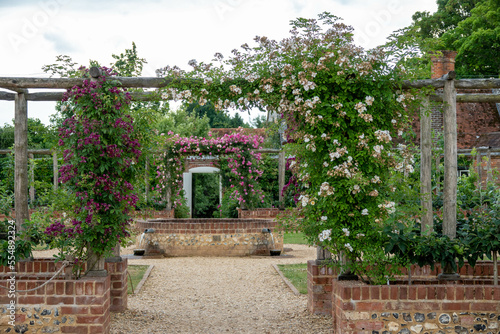 looking through an arbour with roses to a water feature