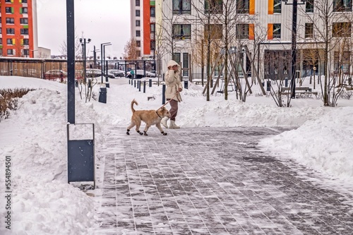 A girl and a dog walk along the sidewalk on December 19, 2022 in Moscow