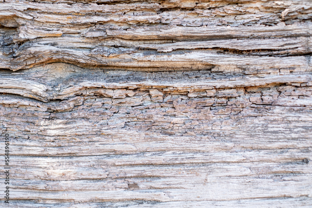 Old brow wood texture background coming from natural tree. The wooden panel has a beautiful dark pattern, hardwood floor texture. Old brow wood texture background coming from natural tree. The wooden panel has a beautiful dark pattern, hardwood floor texture.