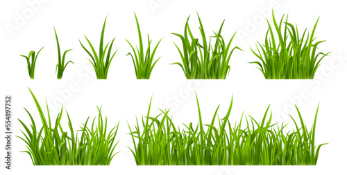 Foto Green grass, weed plants for lawn, spring or summer field, garden or meadow