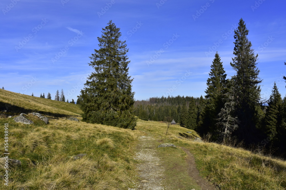 Rusinowa Polana, Tatry, TPN, Park, szlaki górskie, wypoczynek, wędrówki, 