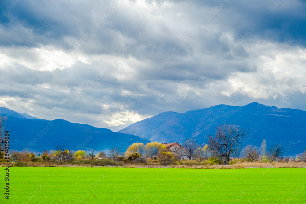 Naklejka premium Amazing view of Magnificent autumn carpet in The Rhodope mountains