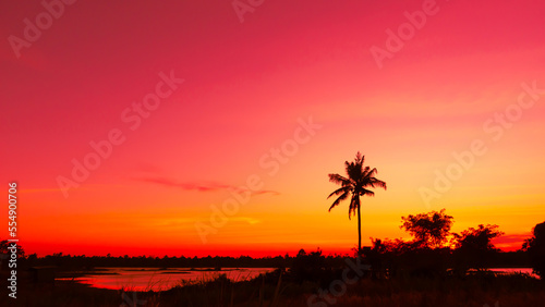 Amazing sunset and sunrise.Panorama silhouette bird on africa with sunset.select focus.