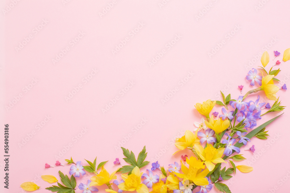 spring flowers on pink  papper background