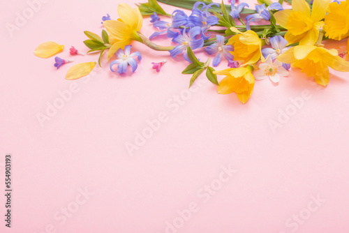 spring flowers on pink papper background