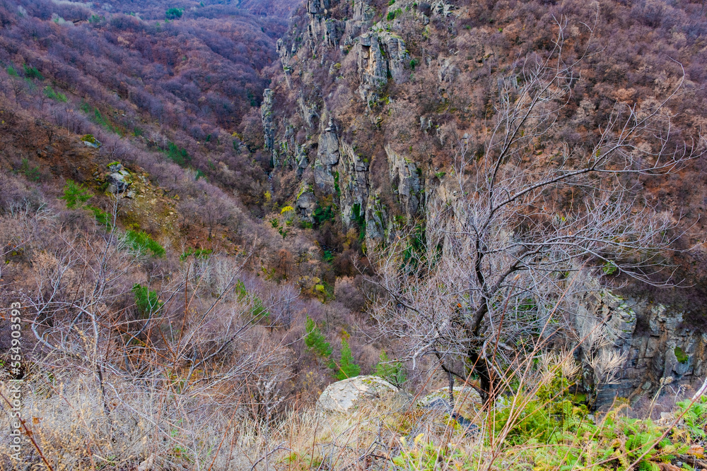 Amazing view of Magnificent autumn carpet in The Rhodope mountains Amazing view of Magnificent autumn carpet in The Rhodope mountains