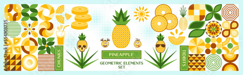 Set of design elements, logo with pineapple in simple geometric style. Abstract shapes. Good for branding, decoration of food packaging, cover design, decorative print, background.