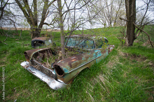 Tree growing through an old car; Seward, Nebraska, United States of America